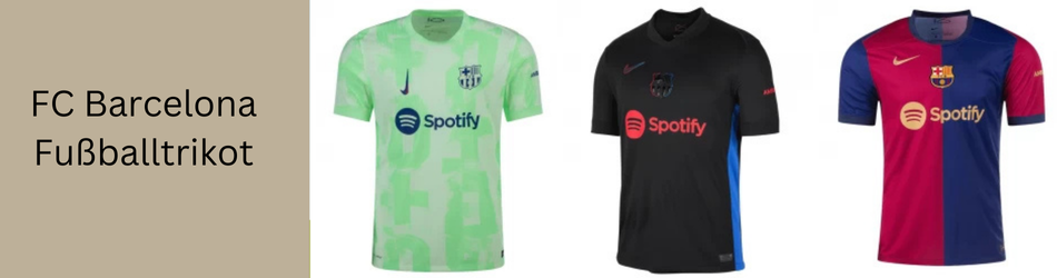 Premier Paint Protection, Coatings & Window Tint Shop in Roanoke, TX
                